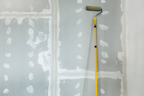 Mold Remediation for Rental Properties