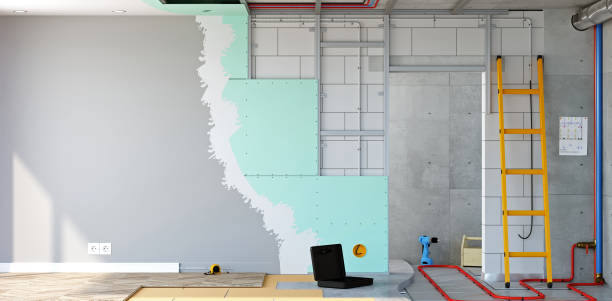 Best Mold Damage Restoration  in Lexington, MS