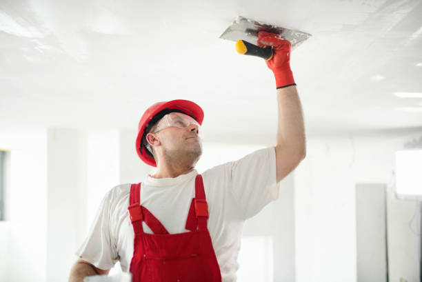 Best Black Mold Removal  in Lexington, MS