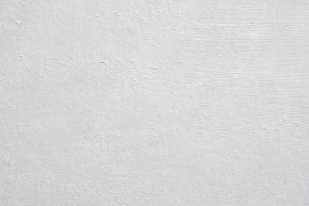 Professional Mold Removal in Lexington, MS