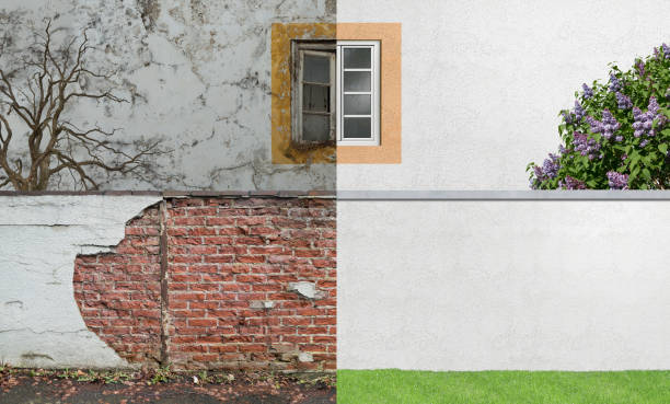 Best Environmental Consulting for Mold Prevention  in Lexington, MS
