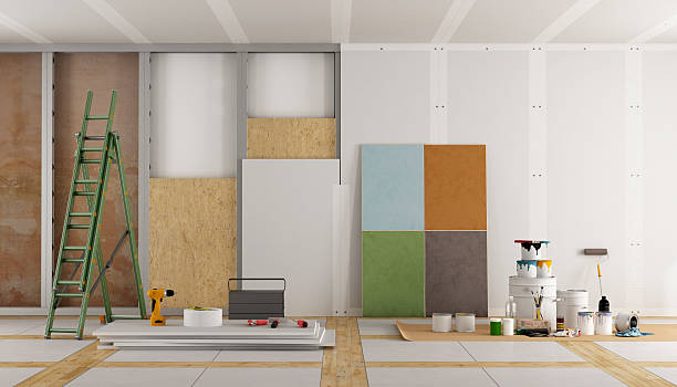 Best Post-Construction Mold Inspection  in Lexington, MS